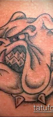 Фото тату бульдог — 03062017 — пример — 007 Bulldog tattoo