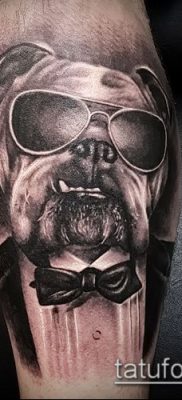 Фото тату бульдог — 03062017 — пример — 009 Bulldog tattoo