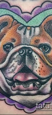 Фото тату бульдог — 03062017 — пример — 010 Bulldog tattoo