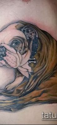 Фото тату бульдог — 03062017 — пример — 012 Bulldog tattoo