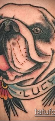 Фото тату бульдог — 03062017 — пример — 013 Bulldog tattoo