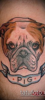 Фото тату бульдог — 03062017 — пример — 018 Bulldog tattoo