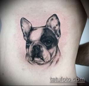Фото тату бульдог - 03062017 - пример - 022 Bulldog tattoo