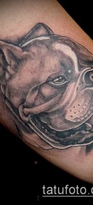 Фото тату бульдог — 03062017 — пример — 023 Bulldog tattoo