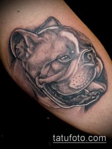Фото тату бульдог - 03062017 - пример - 023 Bulldog tattoo