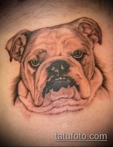 Фото тату бульдог - 03062017 - пример - 024 Bulldog tattoo