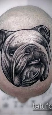 Фото тату бульдог — 03062017 — пример — 031 Bulldog tattoo