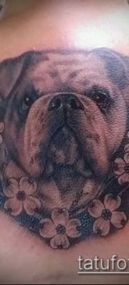 Фото тату бульдог — 03062017 — пример — 035 Bulldog tattoo