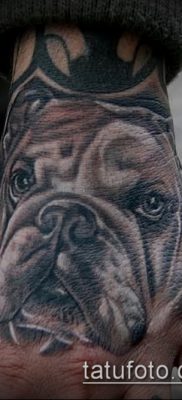 Фото тату бульдог — 03062017 — пример — 036 Bulldog tattoo