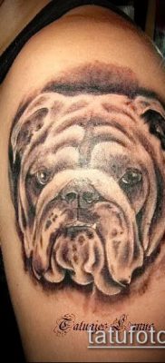 Фото тату бульдог — 03062017 — пример — 040 Bulldog tattoo