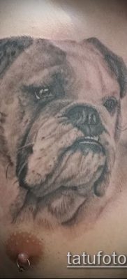 Фото тату бульдог — 03062017 — пример — 047 Bulldog tattoo