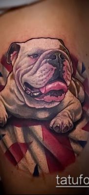 Фото тату бульдог — 03062017 — пример — 048 Bulldog tattoo