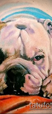 Фото тату бульдог — 03062017 — пример — 051 Bulldog tattoo