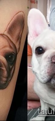 Фото тату бульдог — 03062017 — пример — 052 Bulldog tattoo