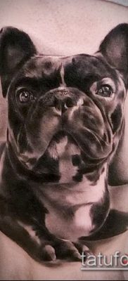 Фото тату бульдог — 03062017 — пример — 062 Bulldog tattoo