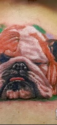 Фото тату бульдог — 03062017 — пример — 067 Bulldog tattoo