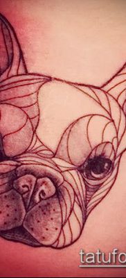 Фото тату бульдог — 03062017 — пример — 069 Bulldog tattoo