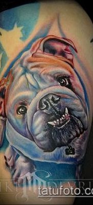 Фото тату бульдог — 03062017 — пример — 071 Bulldog tattoo