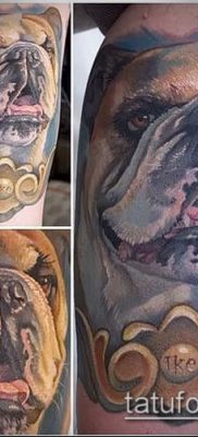 Фото тату бульдог — 03062017 — пример — 073 Bulldog tattoo