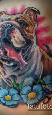 Фото тату бульдог — 03062017 — пример — 074 Bulldog tattoo