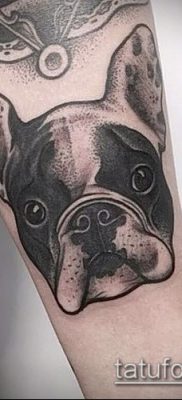Фото тату бульдог — 03062017 — пример — 076 Bulldog tattoo