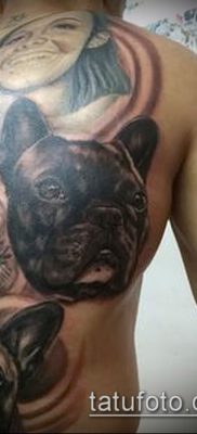 Фото тату бульдог — 03062017 — пример — 079 Bulldog tattoo