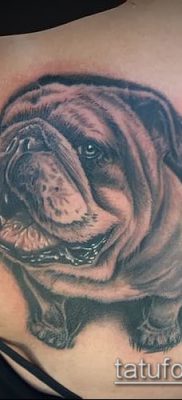Фото тату бульдог — 03062017 — пример — 080 Bulldog tattoo