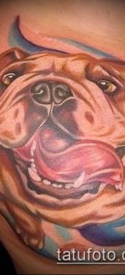 Фото тату бульдог — 03062017 — пример — 081 Bulldog tattoo