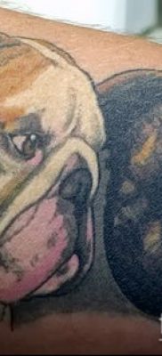 Фото тату бульдог — 03062017 — пример — 082 Bulldog tattoo