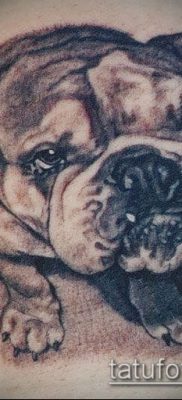Фото тату бульдог — 03062017 — пример — 086 Bulldog tattoo