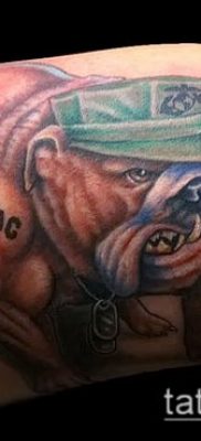 Фото тату бульдог — 03062017 — пример — 087 Bulldog tattoo