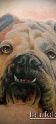 Фото тату бульдог — 03062017 — пример — 089 Bulldog tattoo