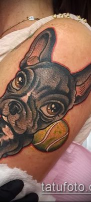 Фото тату бульдог — 03062017 — пример — 090 Bulldog tattoo