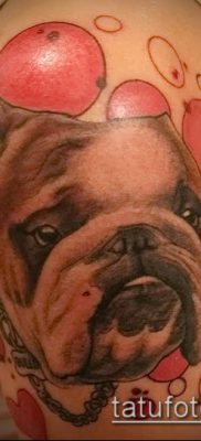 Фото тату бульдог — 03062017 — пример — 095 Bulldog tattoo