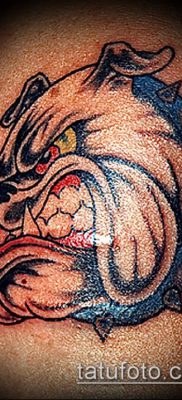 Фото тату бульдог — 03062017 — пример — 096 Bulldog tattoo