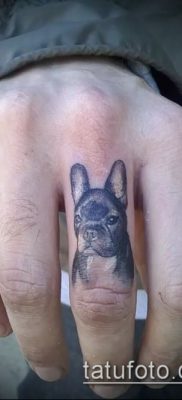 Фото тату бульдог — 03062017 — пример — 097 Bulldog tattoo