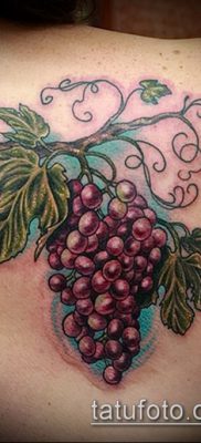 Фото тату виноград — 20062017 — пример — 009 Tattoo grapes_tatufoto.com