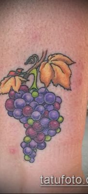 Фото тату виноград — 20062017 — пример — 017 Tattoo grapes_tatufoto.com