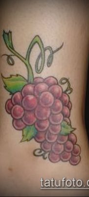 Фото тату виноград — 20062017 — пример — 020 Tattoo grapes_tatufoto.com