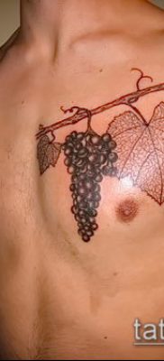 Фото тату виноград — 20062017 — пример — 035 Tattoo grapes_tatufoto.com