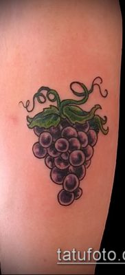 Фото тату виноград — 20062017 — пример — 042 Tattoo grapes_tatufoto.com