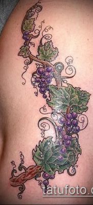 Фото тату виноград — 20062017 — пример — 045 Tattoo grapes_tatufoto.com
