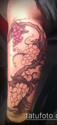 Фото тату виноград — 20062017 — пример — 046 Tattoo grapes_tatufoto.com
