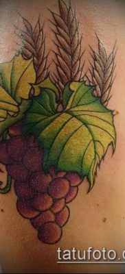 Фото тату виноград — 20062017 — пример — 052 Tattoo grapes_tatufoto.com