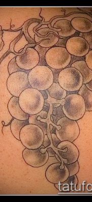 Фото тату виноград — 20062017 — пример — 056 Tattoo grapes_tatufoto.com