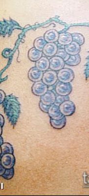 Фото тату виноград — 20062017 — пример — 071 Tattoo grapes_tatufoto.com