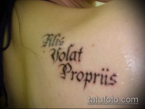 Фото татуировки с латинской фразой 'Alis Volat Propriis' на женской ключице. Черные буквы изящно расположены вдоль линии тела.