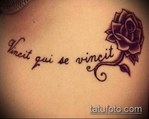 Фото татуировки с изображением розы и латинской фразы 'Vincit qui se vincit' на женской коже. Рисунок выполнен в черных тонах с добавлением серых оттенков.