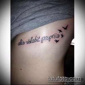 Фото тату на боку с латинской фразой 'alis volat propriis' и изображением летящих птиц. Нежный и символичный рисунок.
