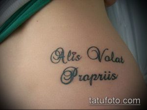 Фото тату с латинской надписью 'Alis Volat Propriis' на плече. Изящный шрифт, черные чернила, женственная татуировка.